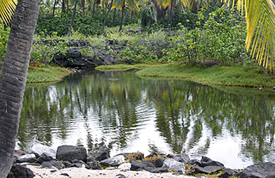 Hawaii Puuhonua Fish Pond